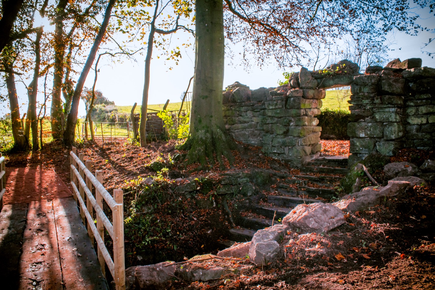 Hilston Park grounds and landscape
